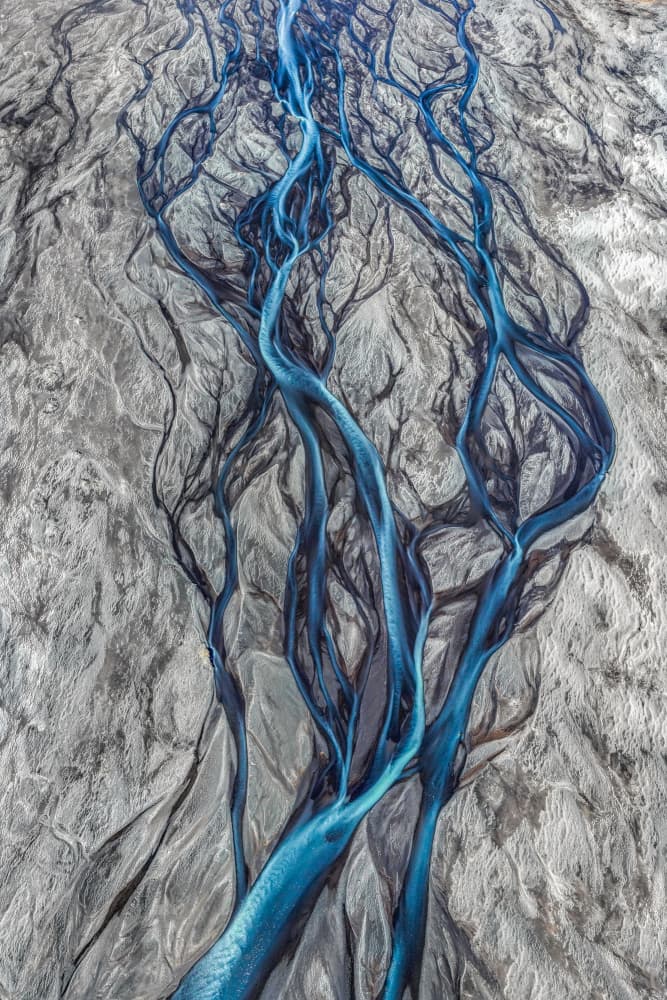 Nature's Blue Veins by Jacek Swiercz — canvas wall art