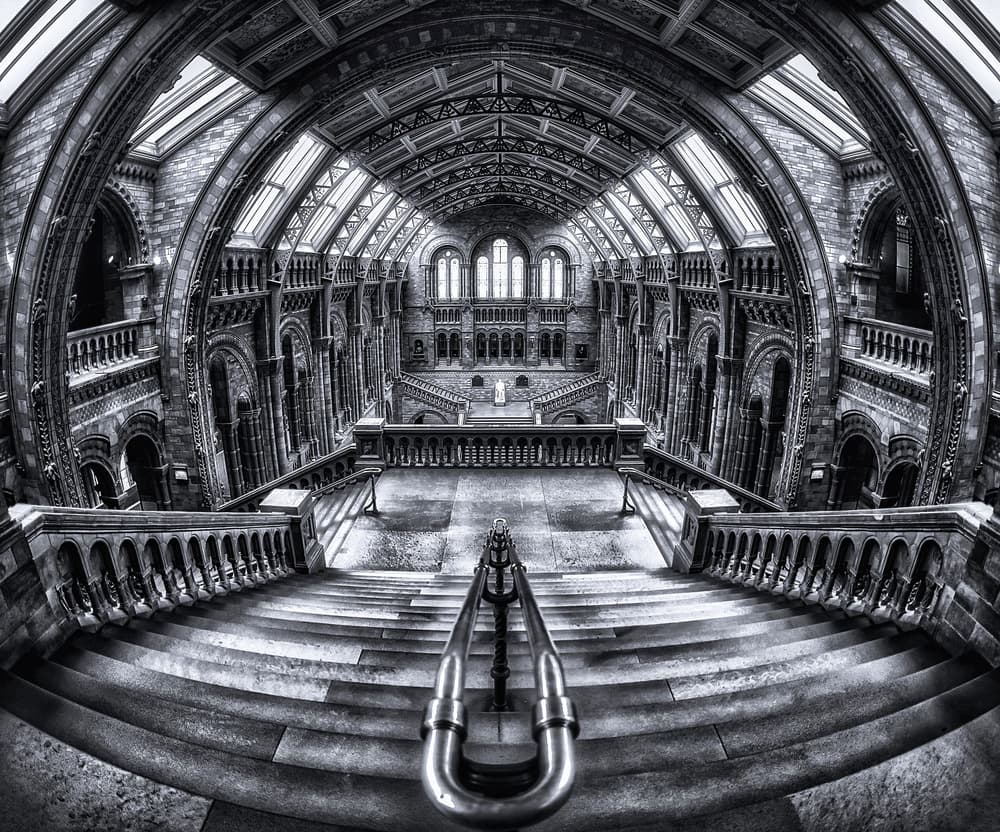 Majestic Museum Staircase by Massimo Cuomo — canvas wall art