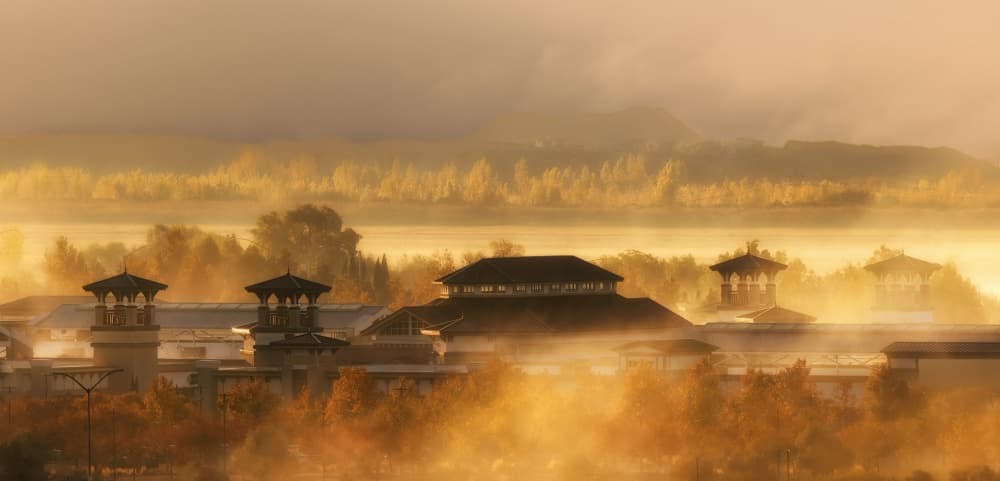 Misty Golden Sunrise by Jenny Qiu — canvas wall art
