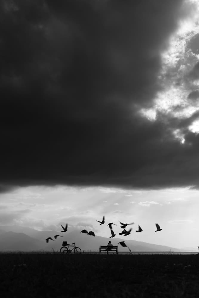 Flight of Solitude by Ali Ayer — canvas wall art