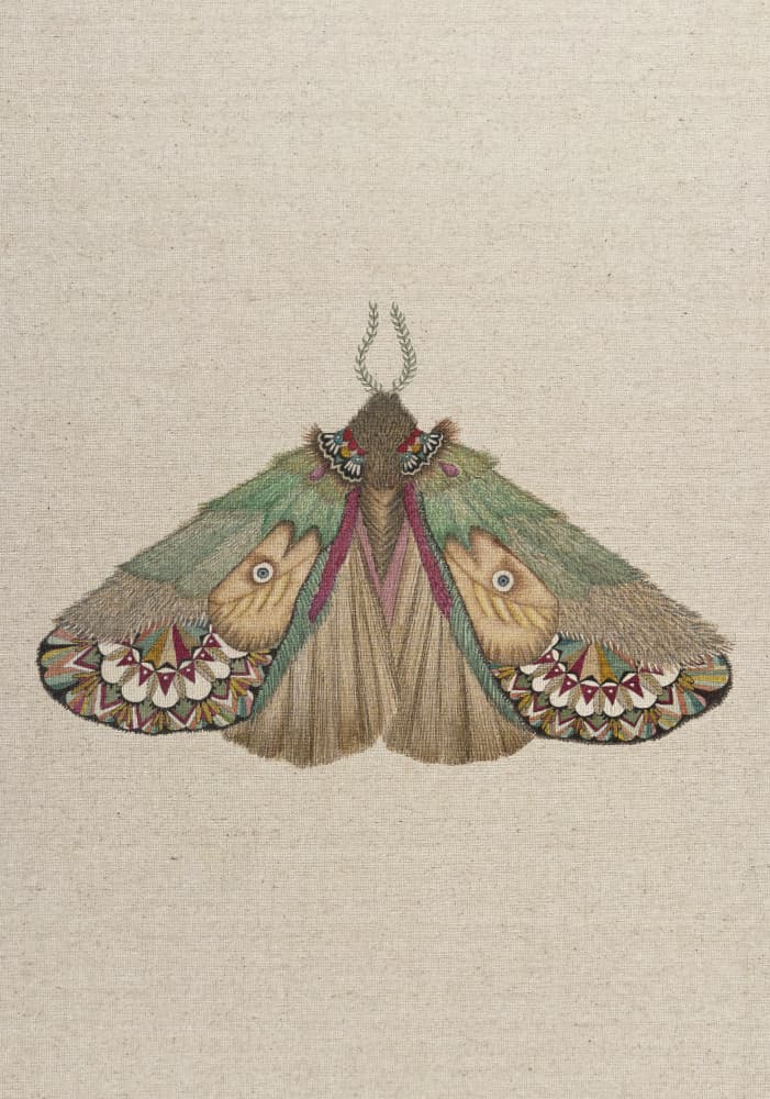 Intricate Moth Design by ZAM.ROD — canvas wall art