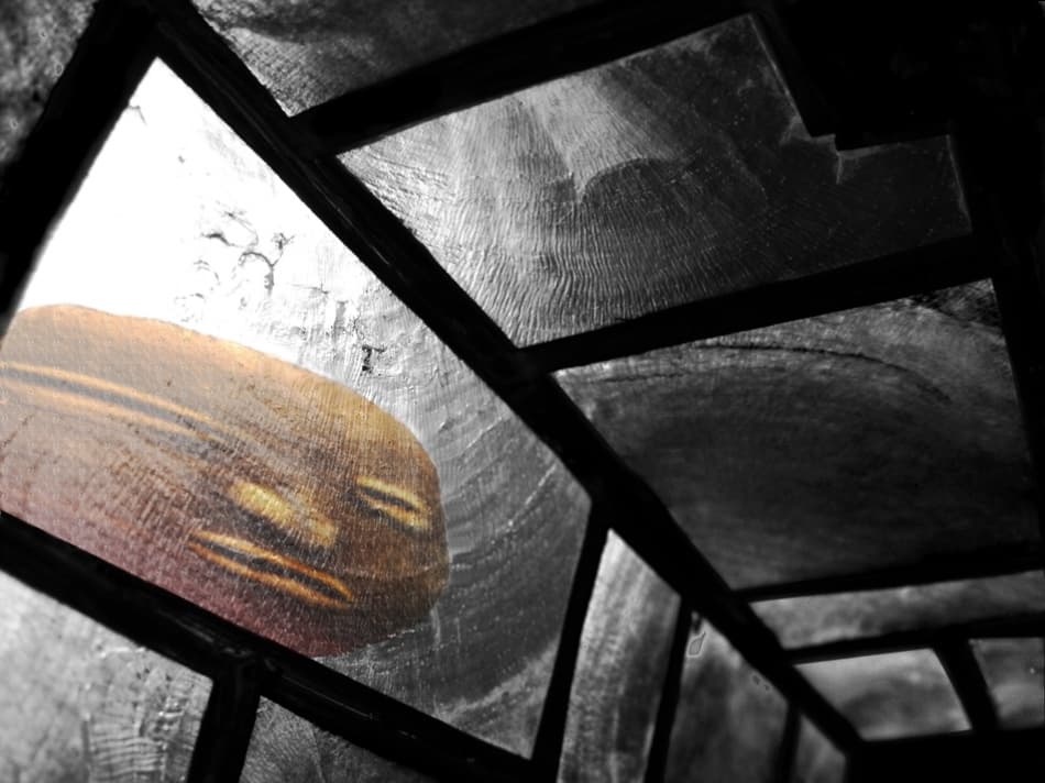 Wing Through Glass by Miron Abramovici — canvas wall art