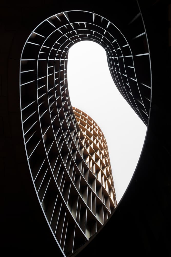 Modern Architectural Curves by Anita Vidic Grah — canvas wall art