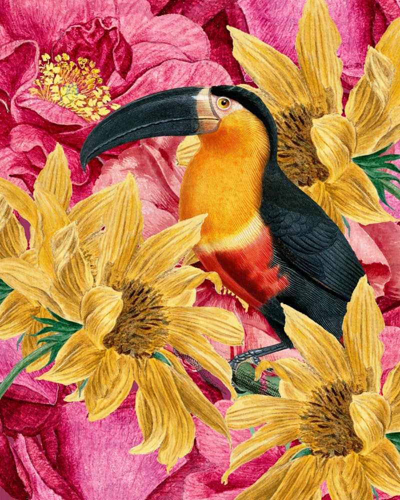 Vibrant Toucan and Flowers by Marja van den Hurk — canvas wall art
