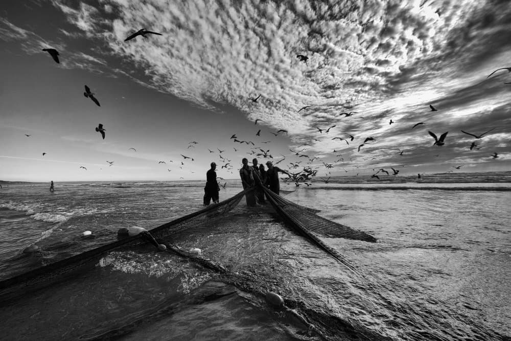 Fishermen Pulling Net by Josefina Melo — canvas wall art