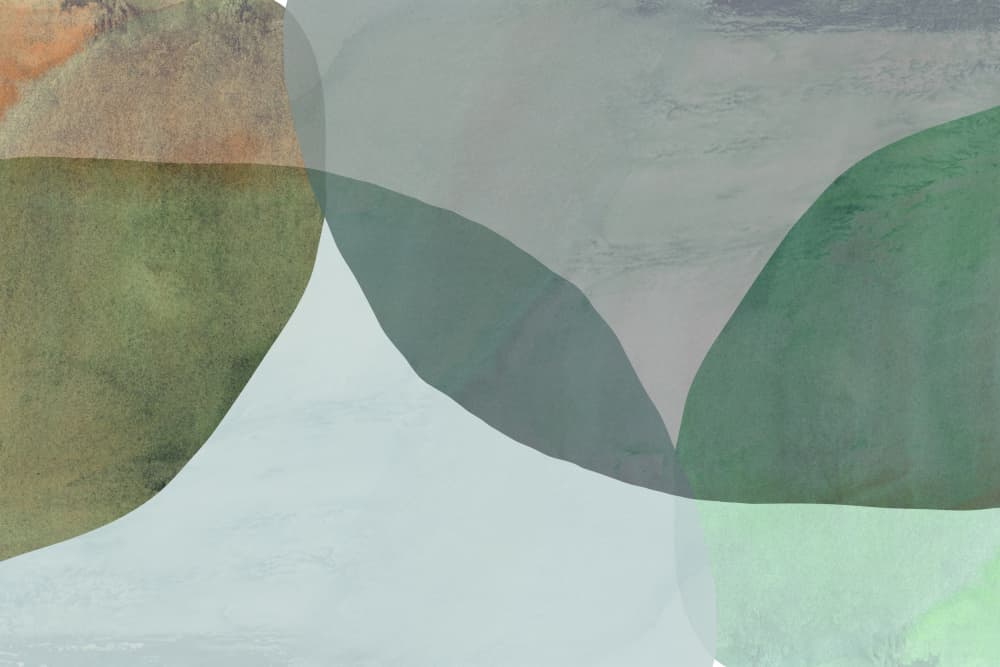 Abstract Natural Forms by cartissi — canvas wall art