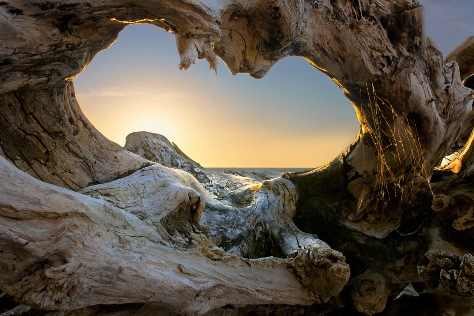 Heart Driftwood Sunset by Dmitry Kulagin — canvas wall art