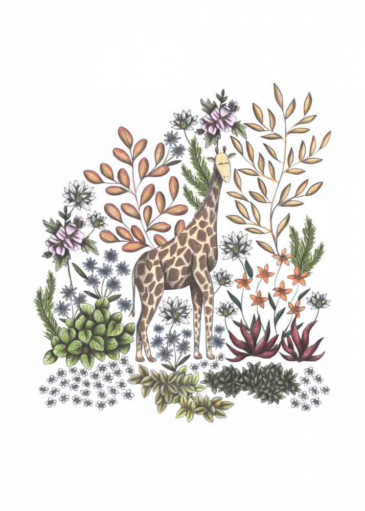 Safari Bloom Giraffe by Cecilia Battaini — canvas wall art