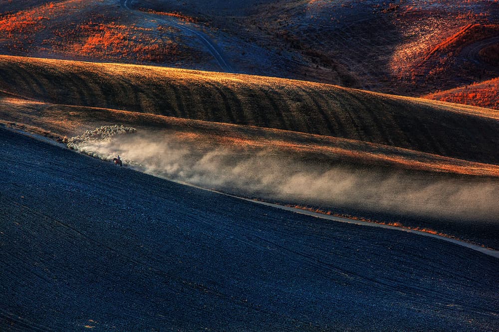 Golden Field Dust Cloud by Massimo Della Latta — canvas wall art