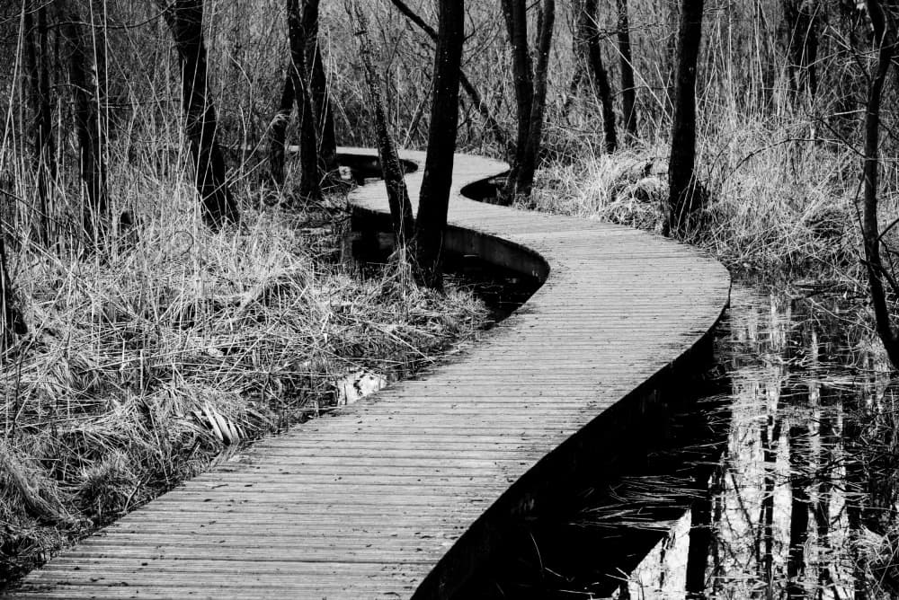 Winding Boardwalk Path by Photolovers — canvas wall art
