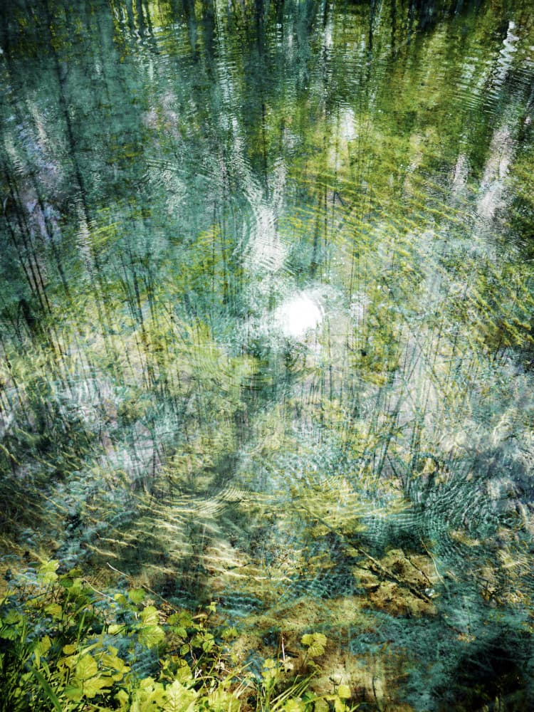 Rippling Forest Reflection by Angelo Cerantola — canvas wall art