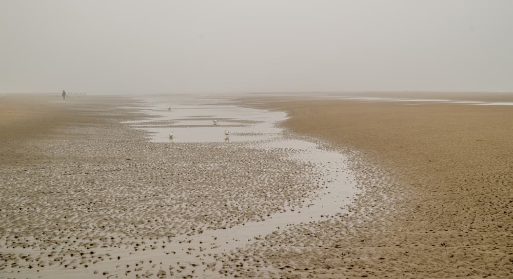 Misty Beach Stroll by Robert Stienstra — canvas wall art