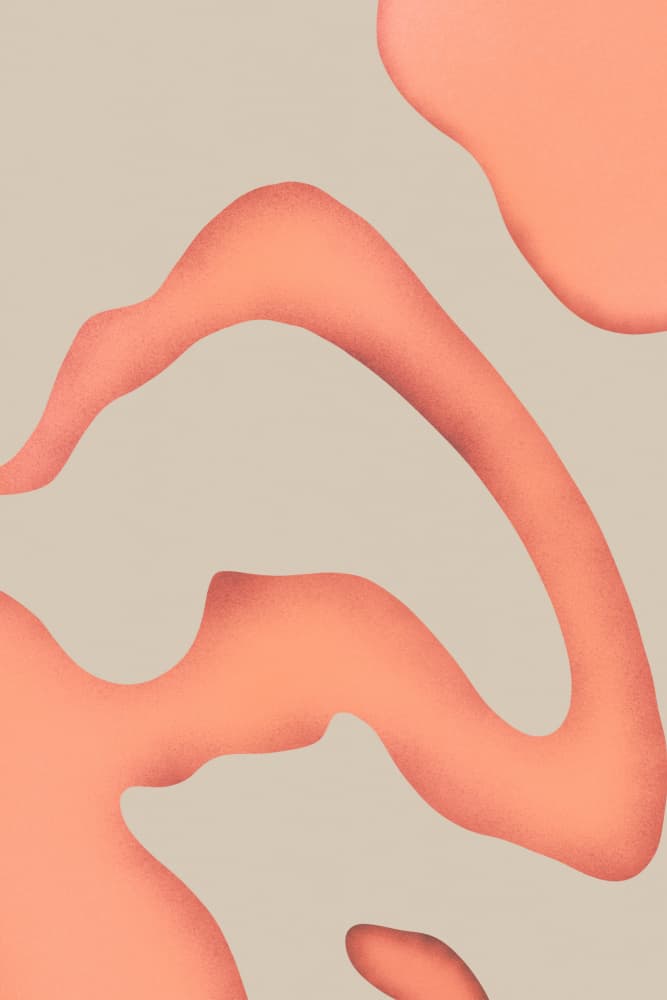 Muted Coral Shapes by Little Dean — canvas wall art