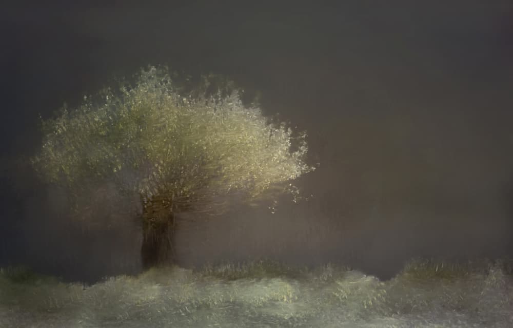 Willow by Nel Talen — canvas wall art