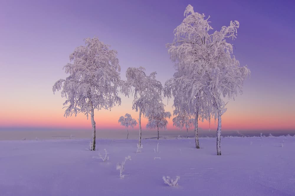 Frosted Winter Sunset by Ruslan Makhmud-Akhunov — canvas wall art