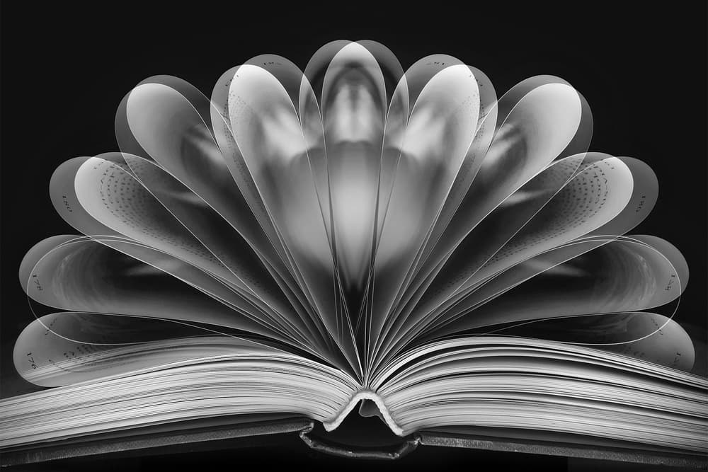 Fanned Book Pages by Jackie Matthews — canvas wall art