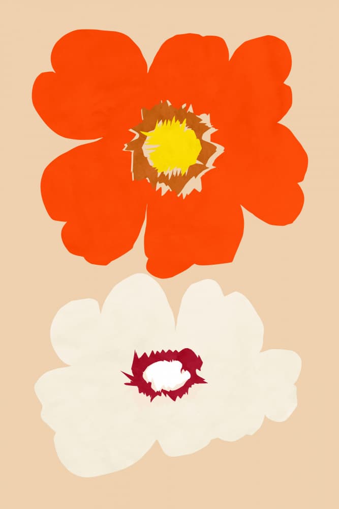 Orange and White Blooms by cartissi — canvas wall art