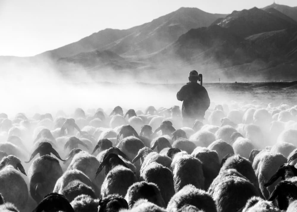 Shepherd In Dusty Mountains by Feyzullah Tunç — canvas wall art