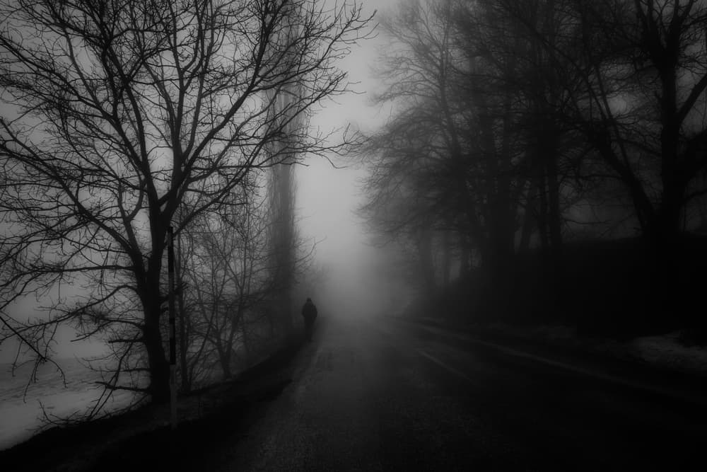 Misty Road Lone Figure by Ali Ayer — canvas wall art