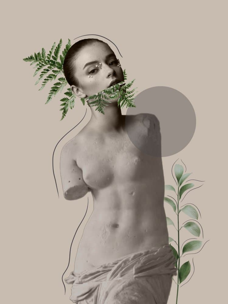 LILI Collection Creative Art Series by Leila — canvas wall art