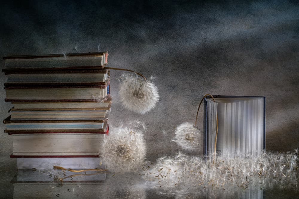 Dreamy Books and Dandelions by Igor Kopcev — canvas wall art