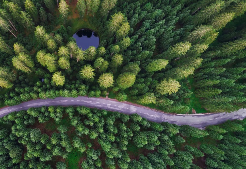 Aerial Forest Road Lake by Ales Krivec — canvas wall art