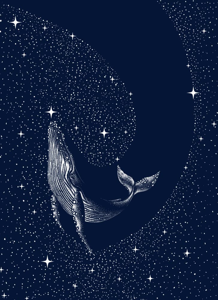 Cosmic Whale Dream by Alirıza ÇAKIR — canvas wall art