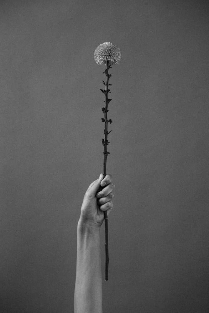 Minimalist Flower Hold by Antonida Frolova — canvas wall art