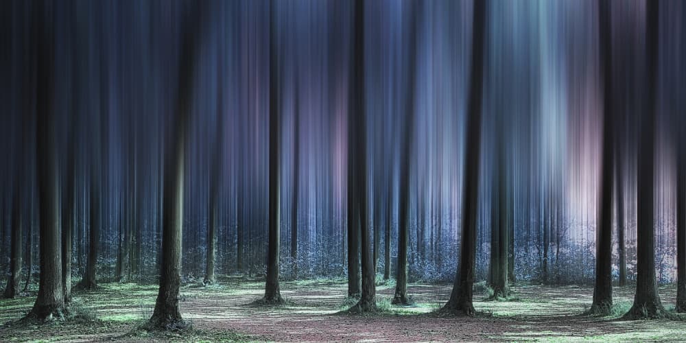 Ethereal Forest Glow by Michael Eßig — canvas wall art