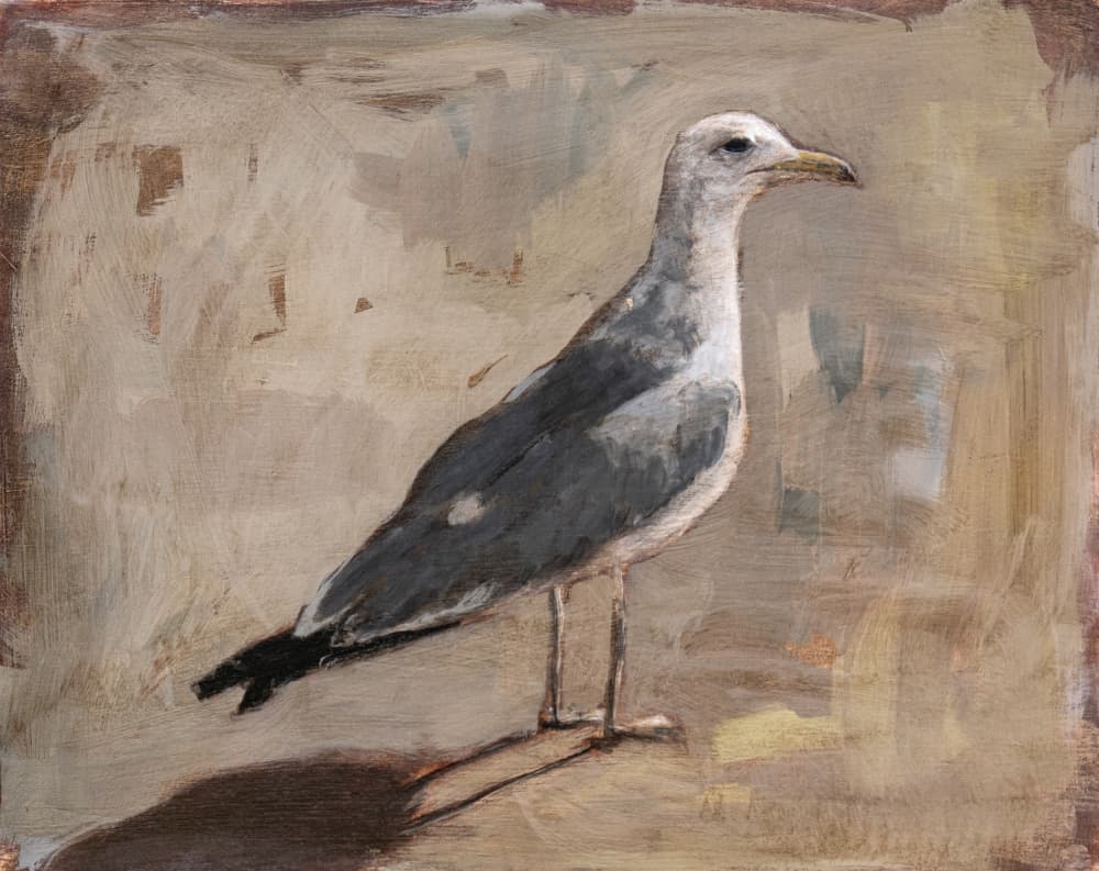 Standing Seagull Portrait by Claire Lerner — canvas wall art