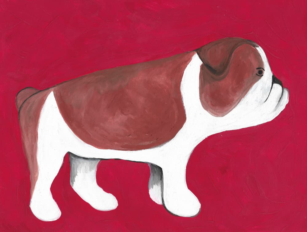 Bulldog On Red by Lerin Freyou — canvas wall art