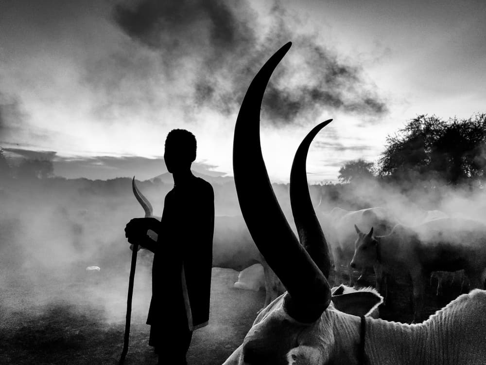 Misty African Cattle Herder by Svetlin Yosifov — canvas wall art