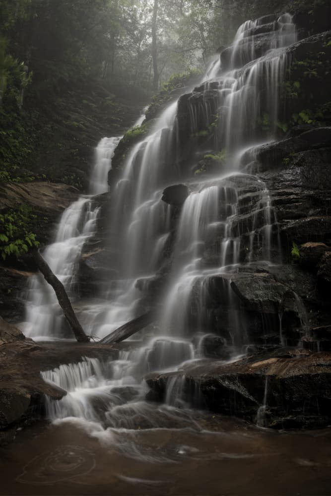 Misty Forest Waterfall by Yan Zhang — canvas wall art