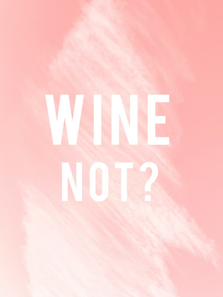 Wine Not Funny Quote by Aislinn Simmonds — canvas wall art