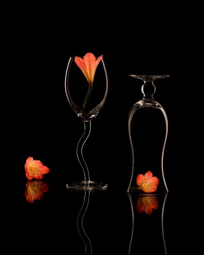 Orange Bloom Glass by Qing Li — canvas wall art