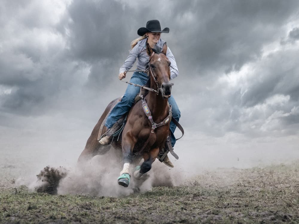 Dynamic Rodeo Ride by Frank Ma — canvas wall art