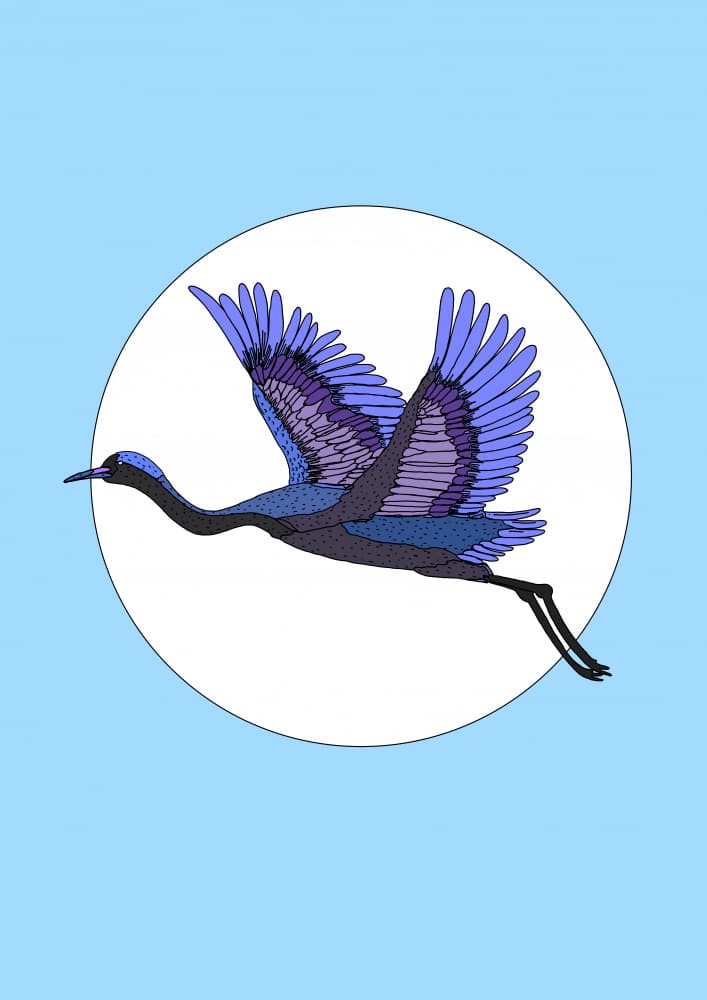 Graceful Crane Flight by Nicholas — canvas wall art