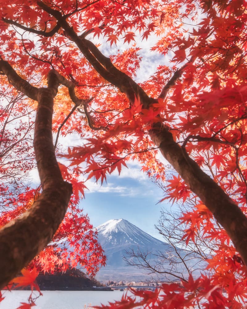 Mount Fuji Autumn Frame by Makiko Samejima — canvas wall art