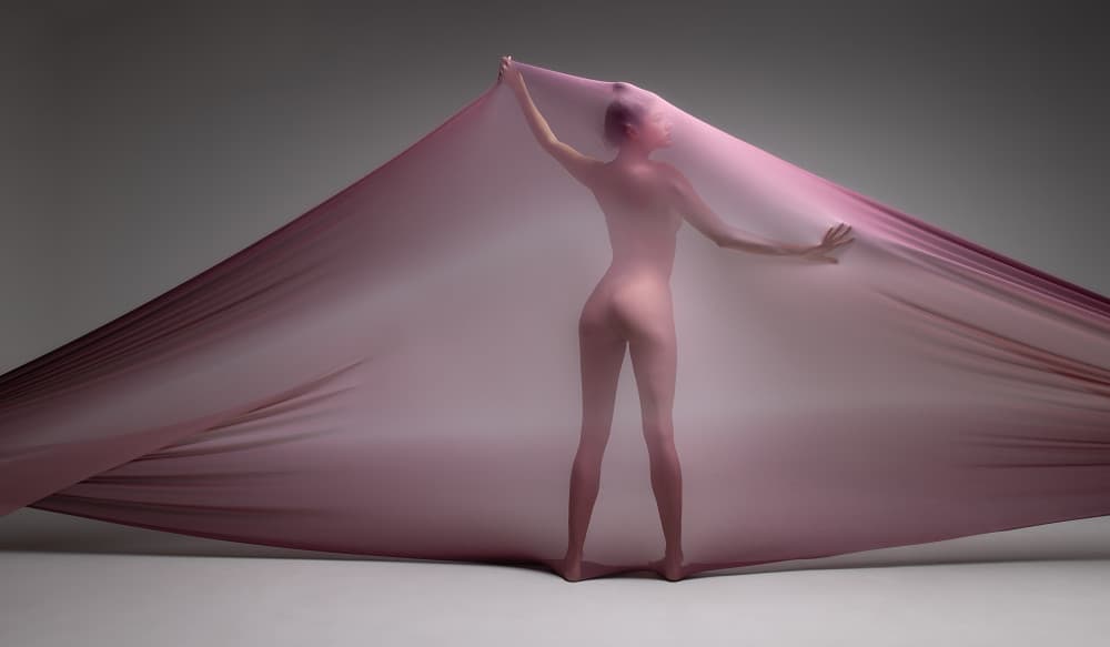 Sheer Pink Fabric Embrace by Joan Gil Raga — canvas wall art