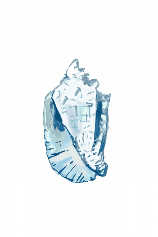Ocean Blue Conch by cartissi — canvas wall art