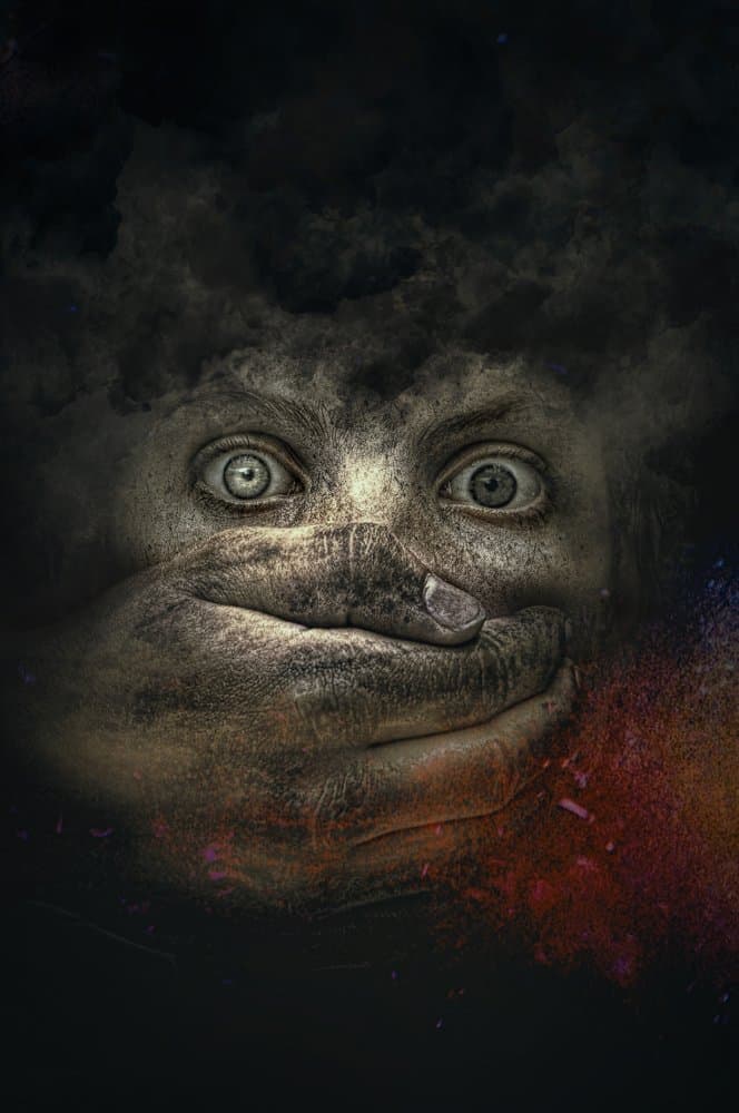 Silent Scream by Peeters Jos — canvas wall art