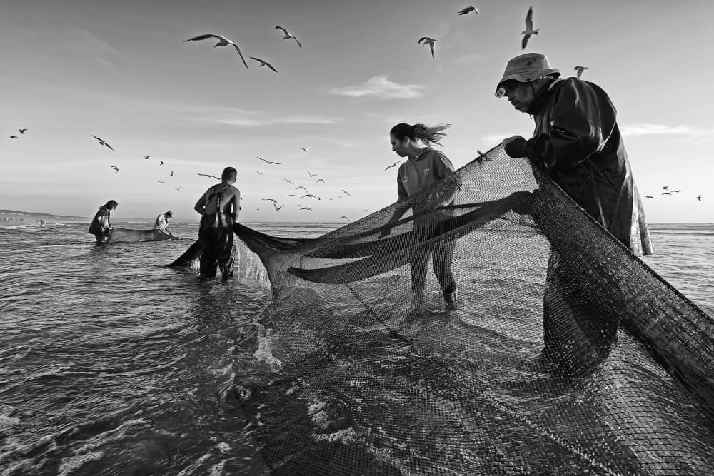 Ocean Net Fishing by Josefina Melo — canvas wall art
