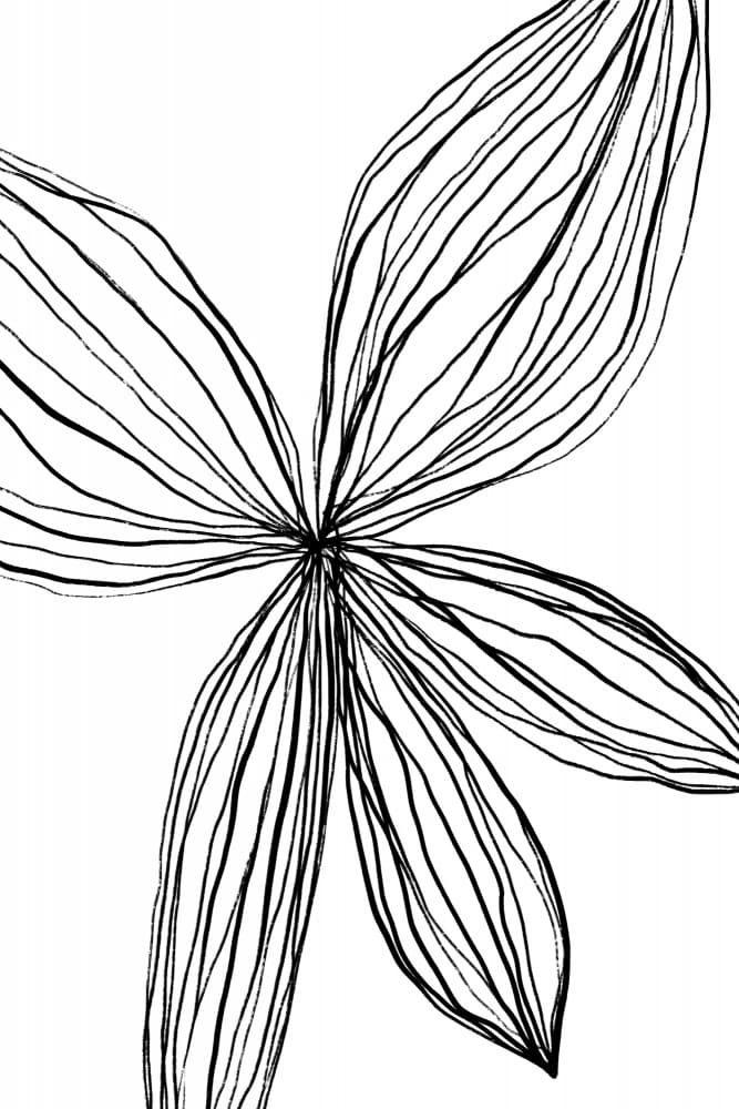 Elegant Petals by uplusmestudio — canvas wall art