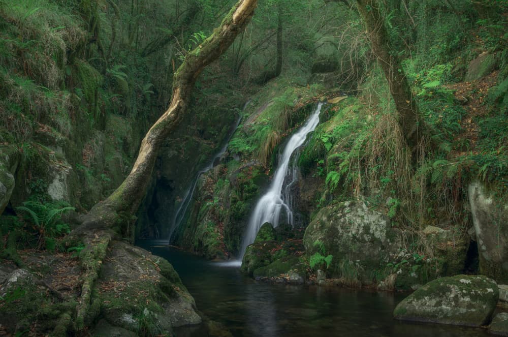 Lush Forest Waterfall by Carlos Hernandez Martinez — canvas wall art