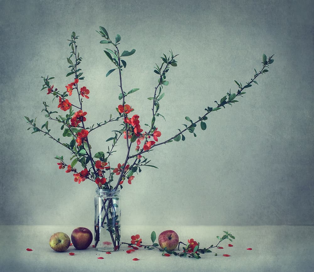Rustic Apples and Blossoms by Dimitar Lazarov - Dim — canvas wall art