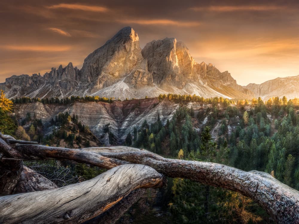 Golden Mountains Autumn Forest by David Ilkovic EP AFIAP — canvas wall art