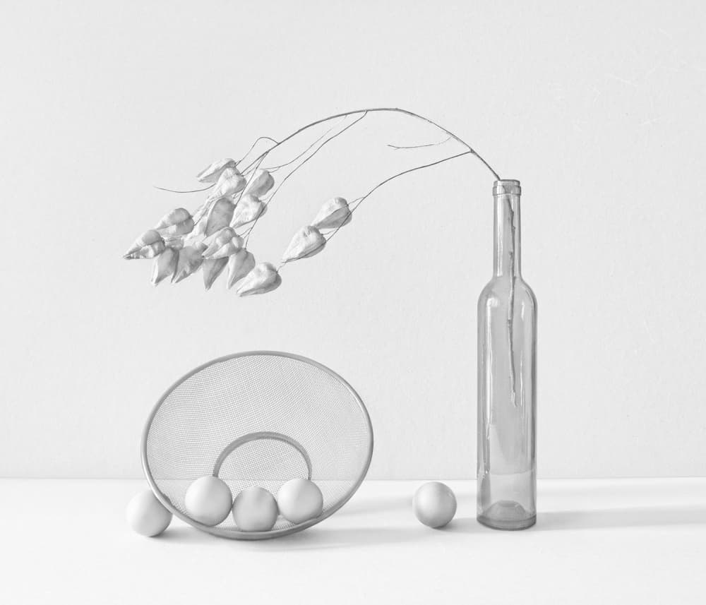 Serene Monochromatic Still Life by Dimitar Lazarov - Dim — canvas wall art