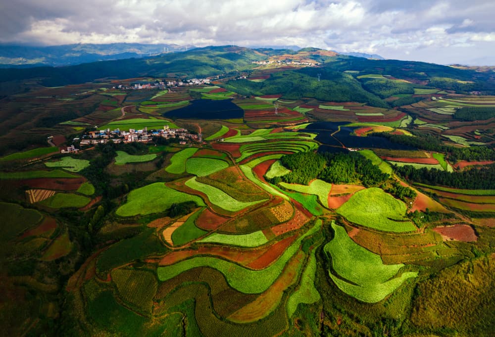 Colorful Terraced Fields by Joanna W — canvas wall art