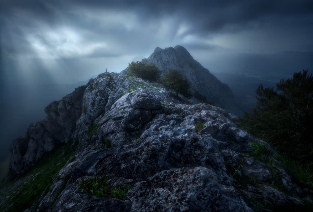 Misty Mountain Solitude by Fran Osuna — canvas wall art