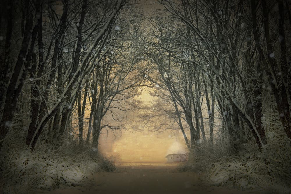 Snowy Path Cabin by Adela  Lia Rusu — canvas wall art